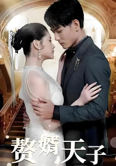 赘婿天子封面图