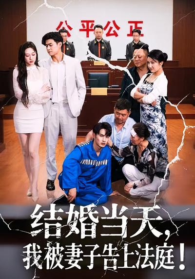 结婚当天，我被妻子告上法庭封面图