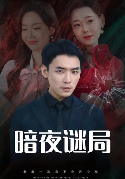 暗夜谜局封面图