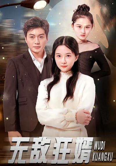 无敌狂婿封面图