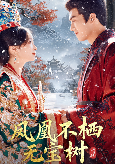 凤凰不栖无宝树封面图