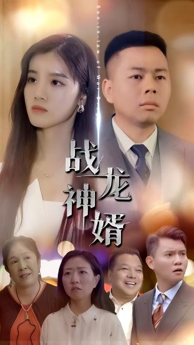 战龙神婿封面图