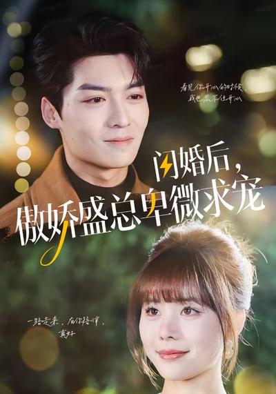 闪婚后，傲娇盛总卑微求宠封面图