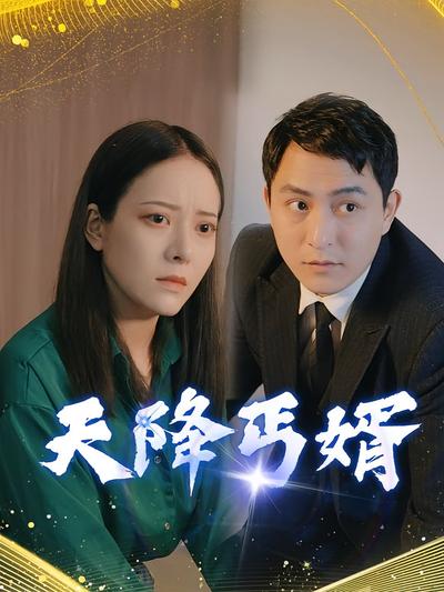 天降丐婿封面图