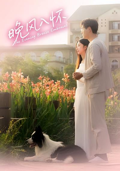 晚风入怀封面图
