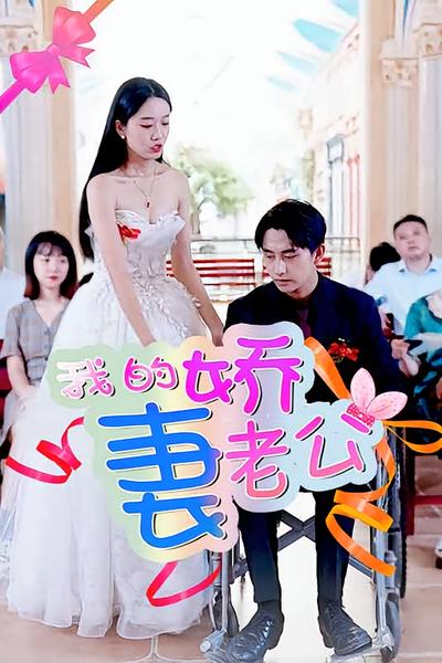 我的娇妻老公封面图