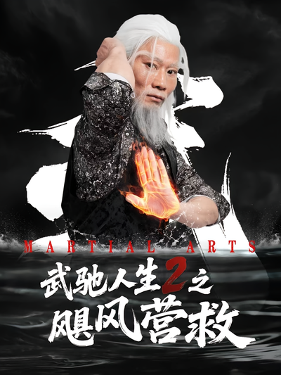 武驰人生2之飓风营救封面图