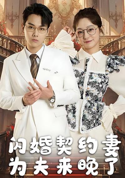 闪婚契约妻，为夫来晚了封面图