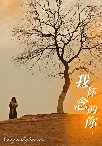 我怀念的你封面图