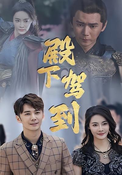 殿下驾到封面图