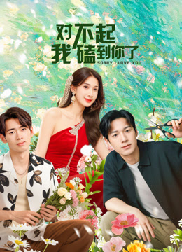 对不起，我磕到你了封面图