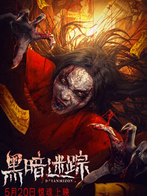 黑暗迷踪封面图