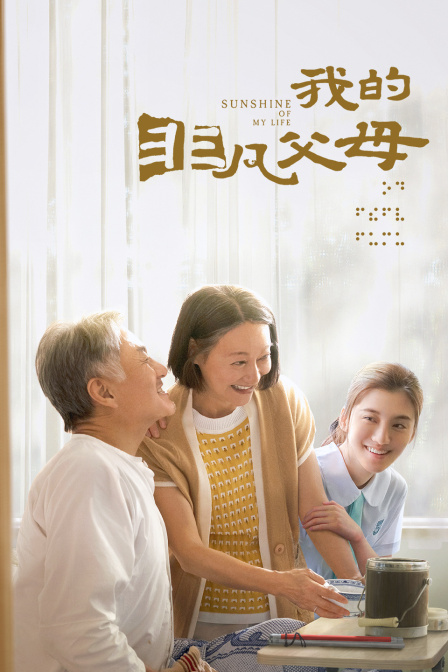 我的非凡父母封面图