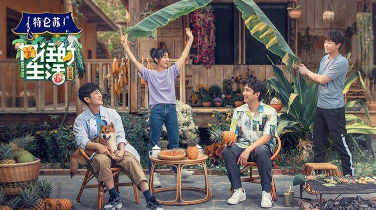 向往的生活 第四季封面图