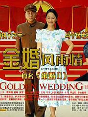 金婚风雨情封面图