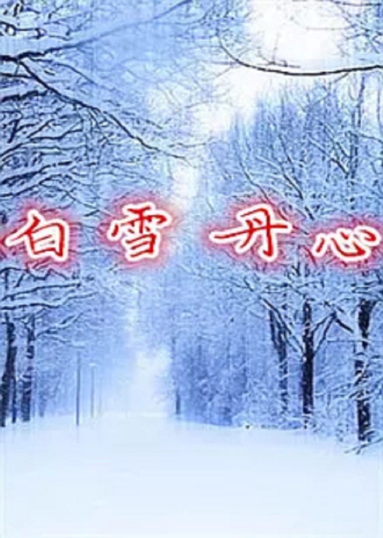 白雪丹心封面图