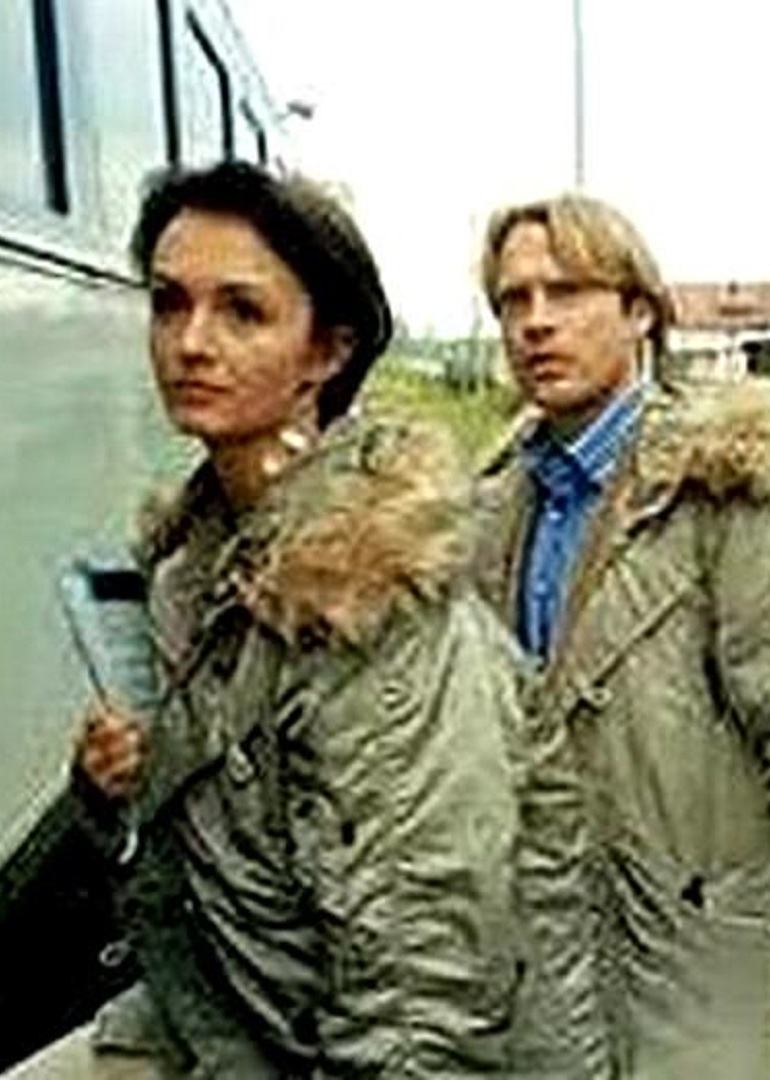 科学救援组封面图