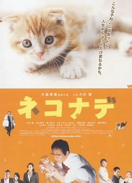 小猫奇缘封面图