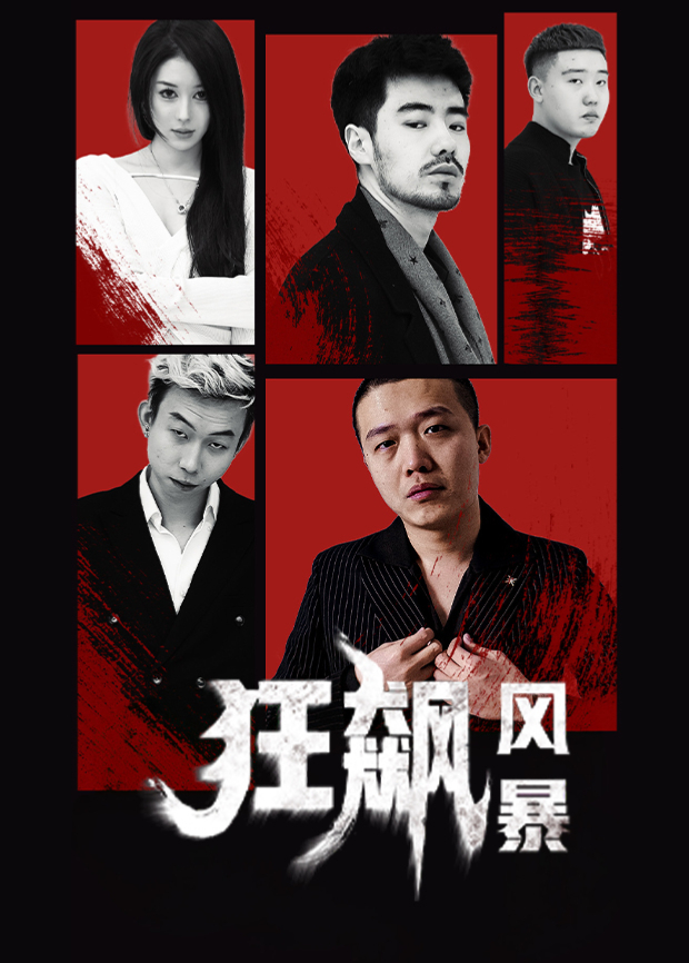 狂飙风暴封面图