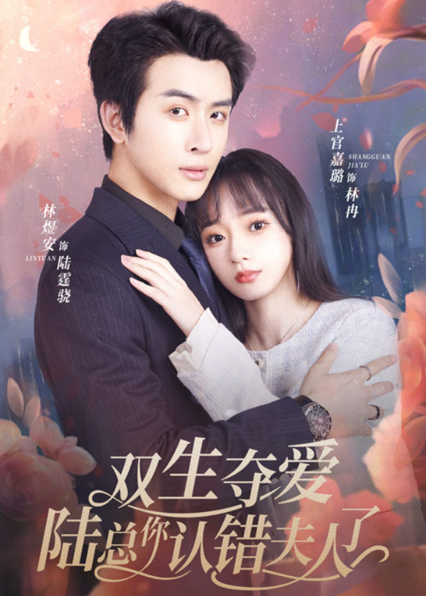双生夺爱陆总你认错夫人了封面图