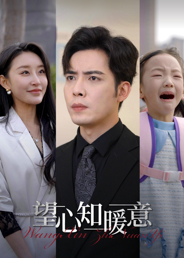 望心知暖意封面图