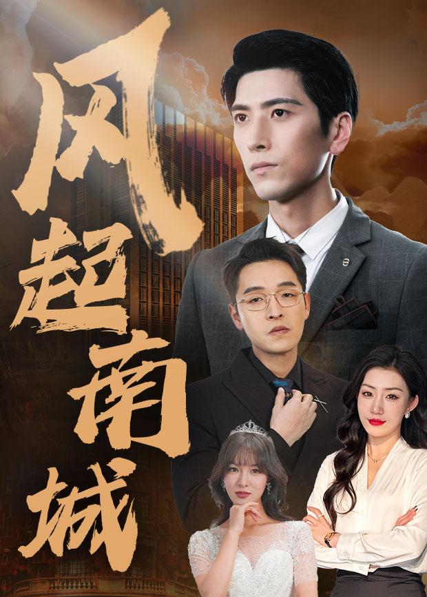 风起南城封面图