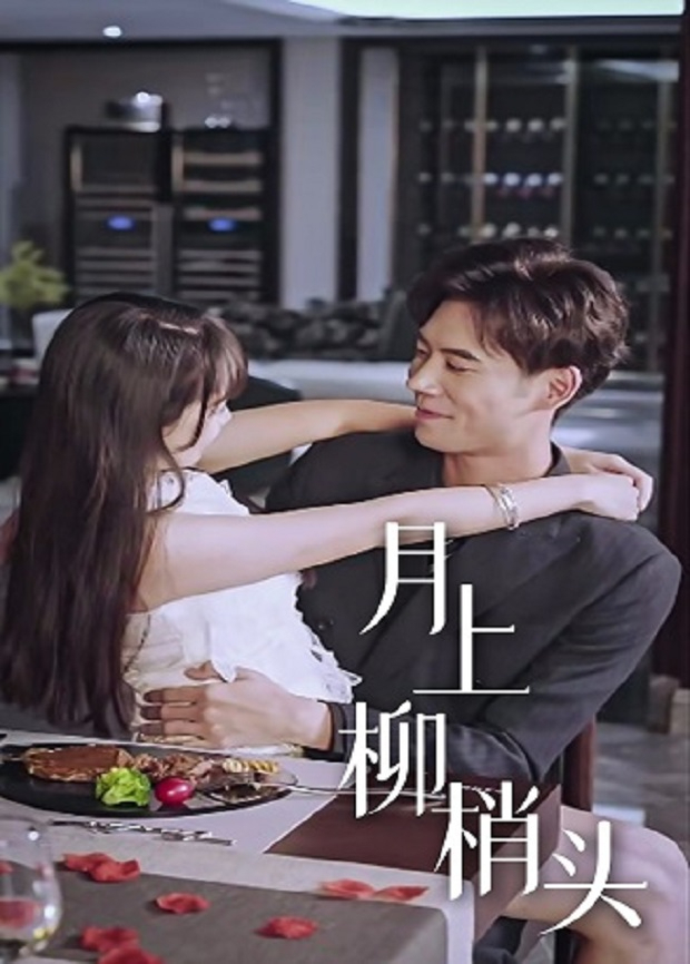 月上柳梢头封面图