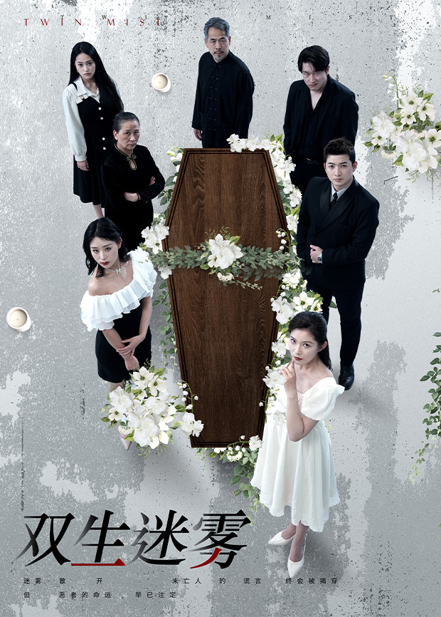 双生迷雾封面图