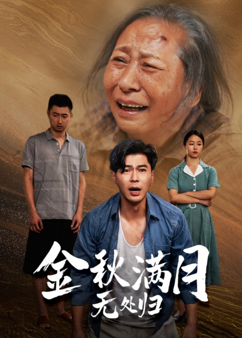 我的星开始闪耀封面图