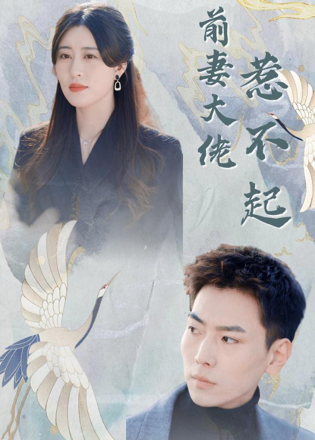 前妻大佬惹不起封面图