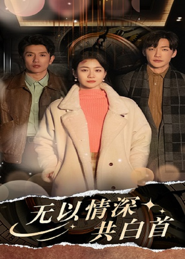 无以情深共白首封面图