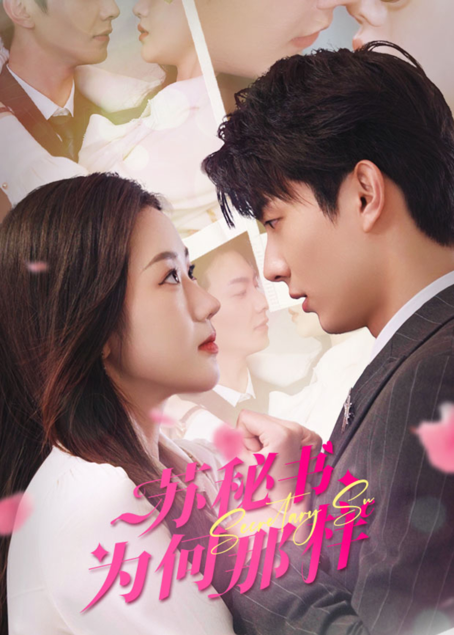 苏秘书为何那样封面图