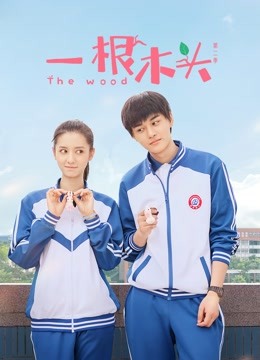 一根木头 第二季封面图