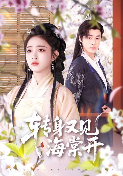 转身又见海棠开封面图