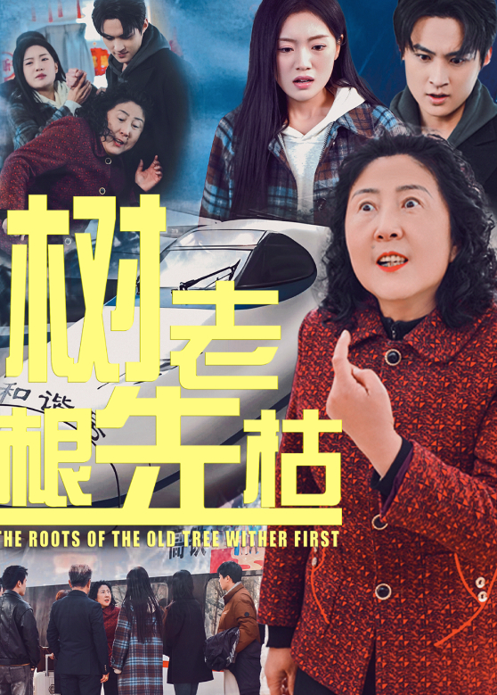 树老根先枯封面图