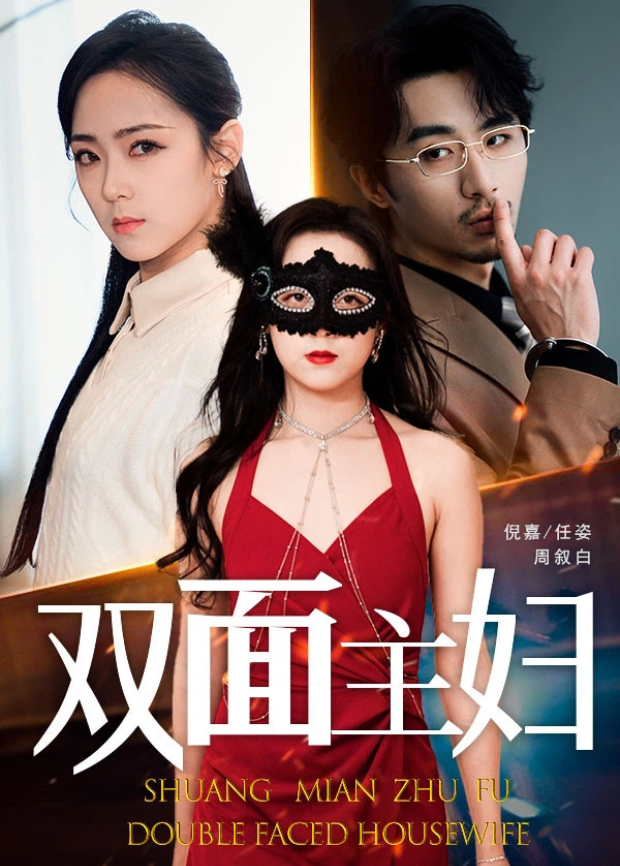 双面主妇封面图