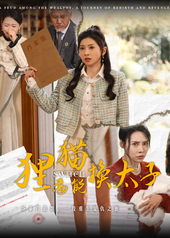 狸猫焉能换太子封面图