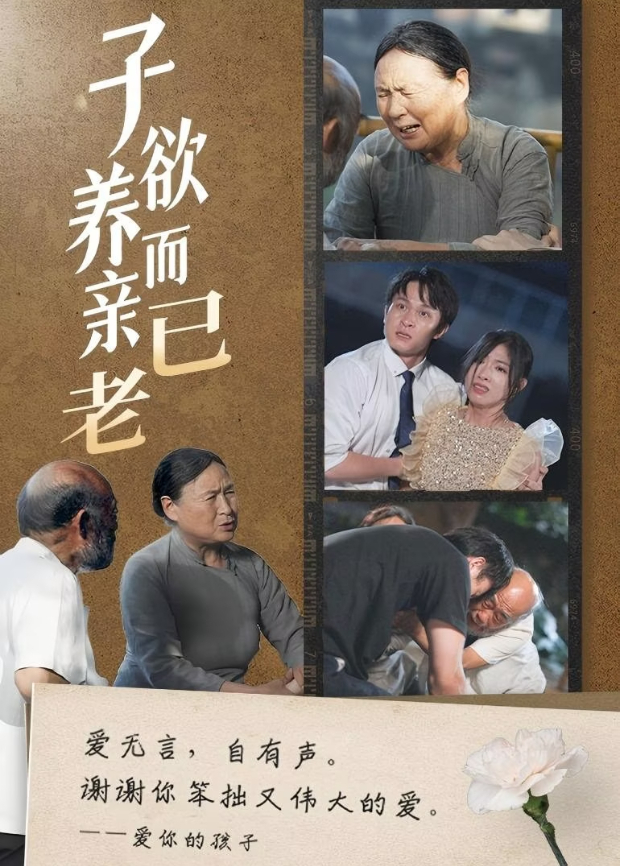 子欲养，而亲已老封面图
