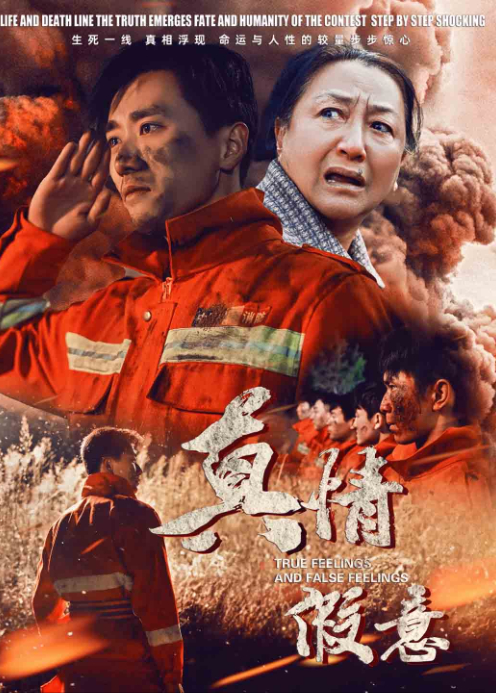 真情假意封面图