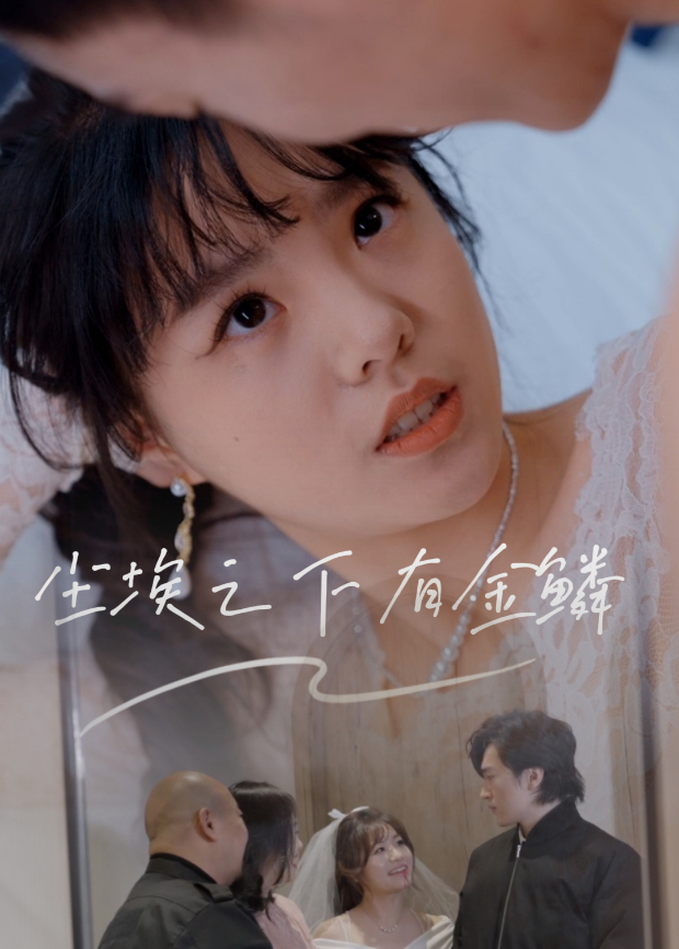 老天在给我 49 天封面图