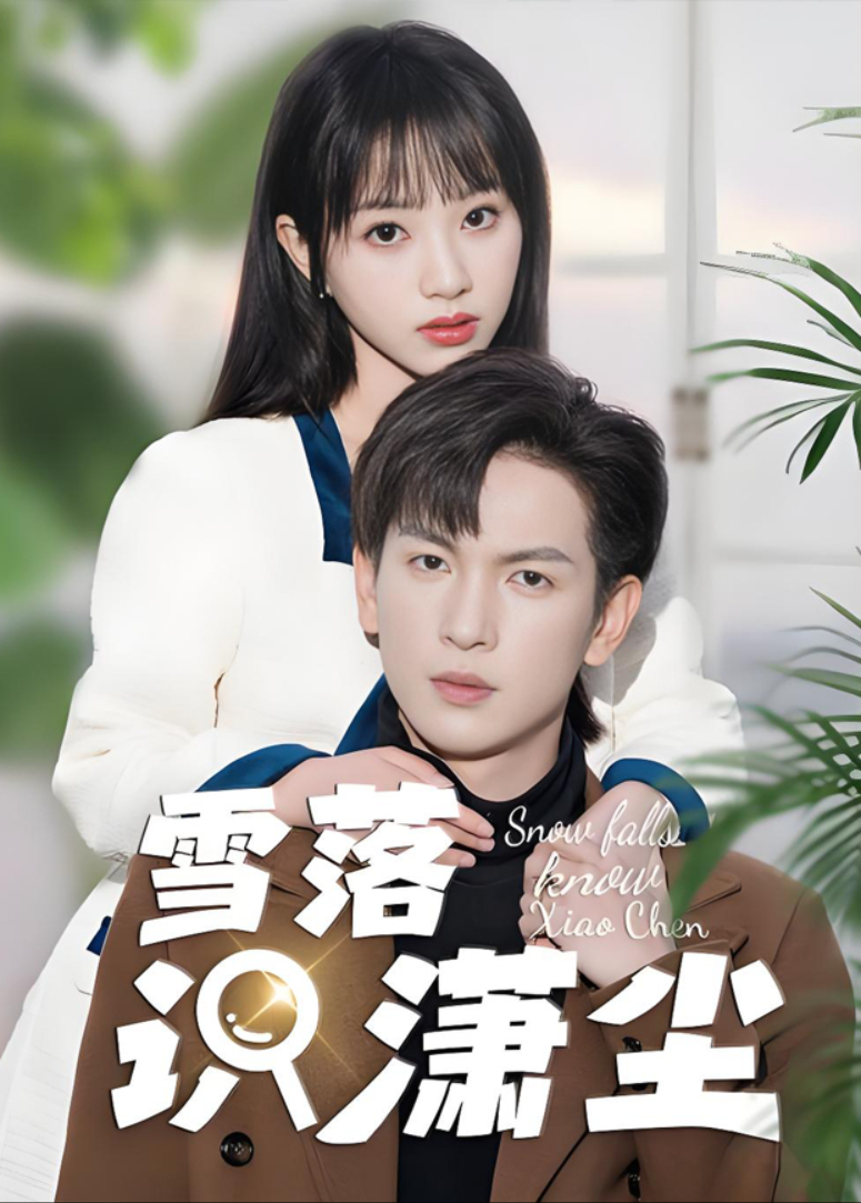 雪落识潇尘封面图