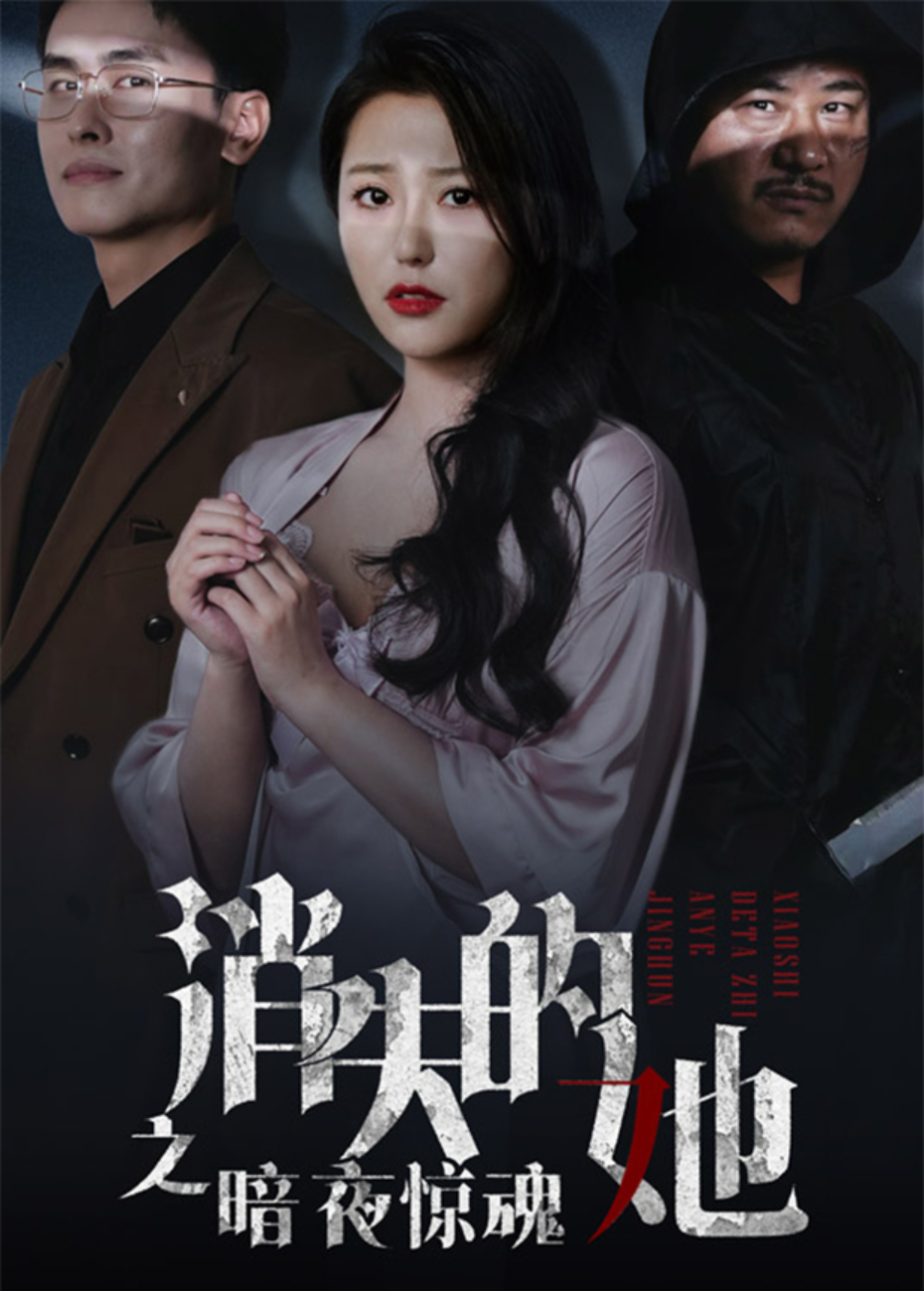 消失的她之暗夜惊魂封面图