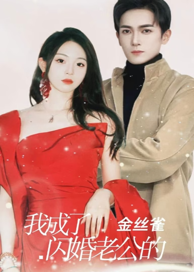 我成了闪婚老公的金丝雀封面图