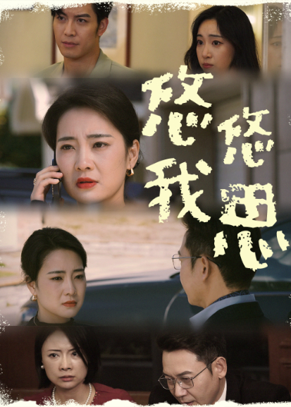 悠悠我思封面图