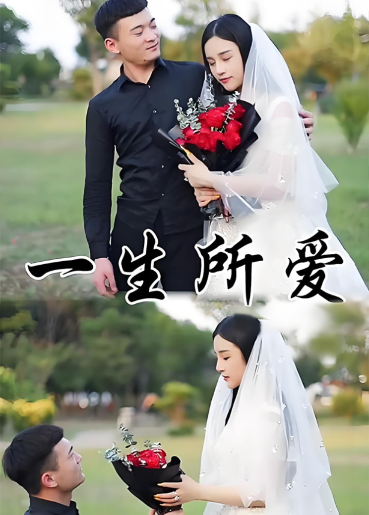 一生所爱封面图