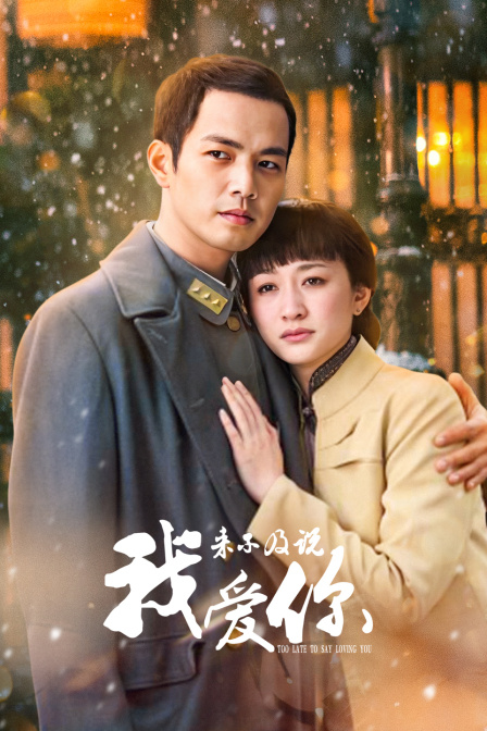 来不及说我爱你封面图