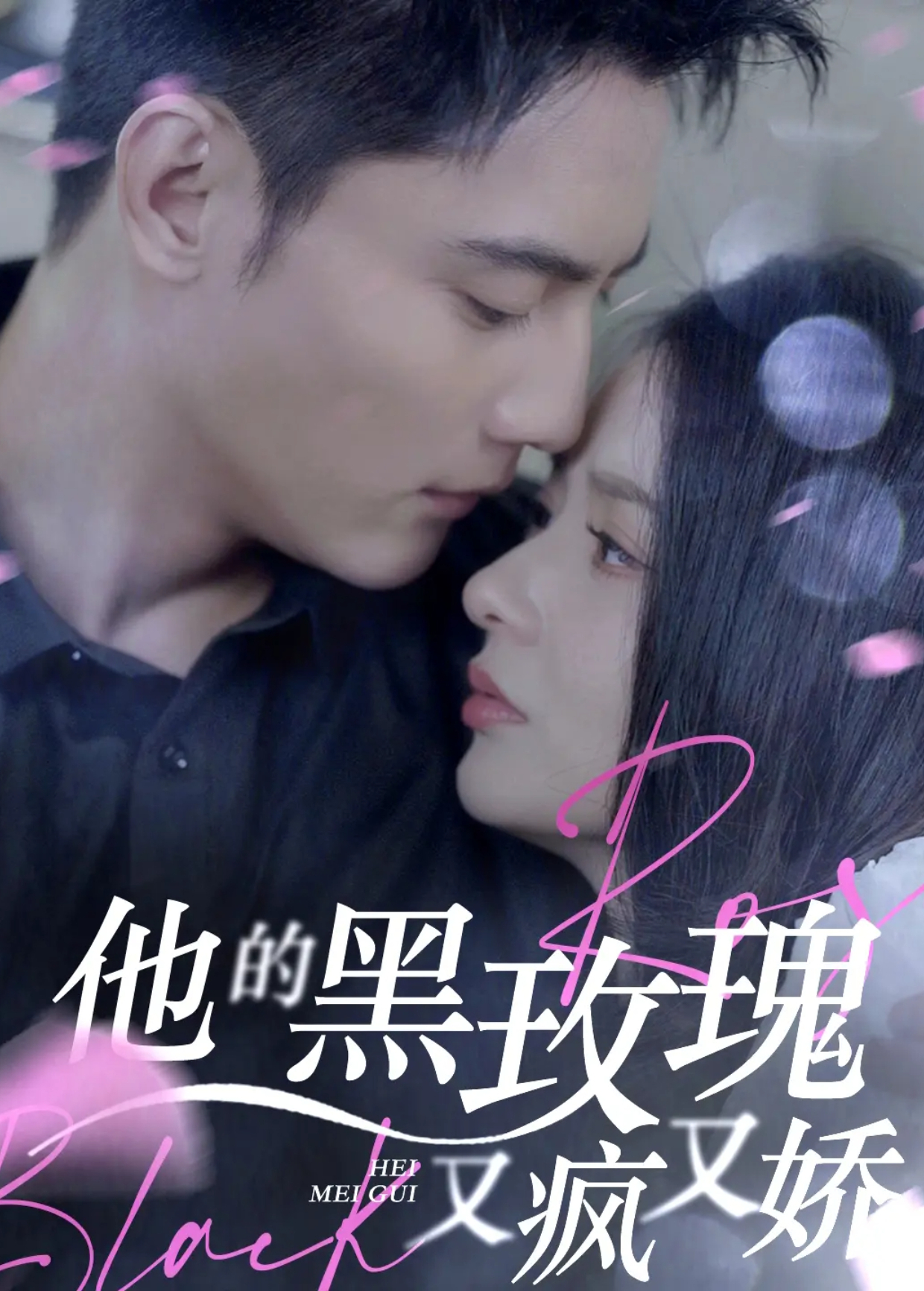 他的黑玫瑰又疯又娇封面图