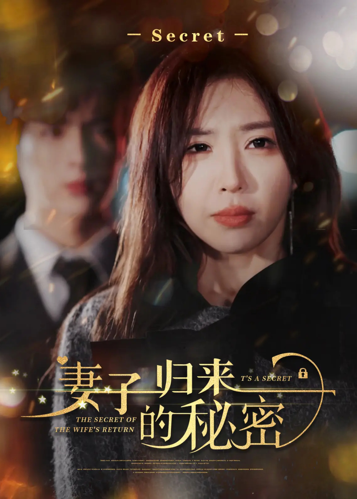 妻子归来的秘密封面图
