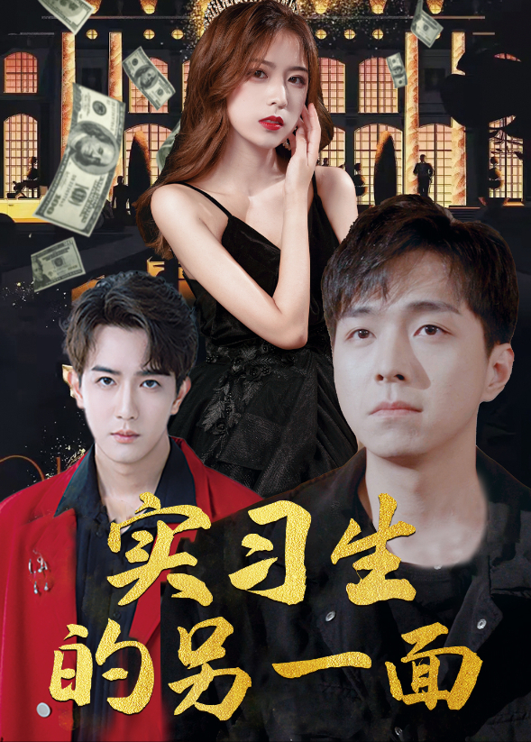 实习生的另一面封面图