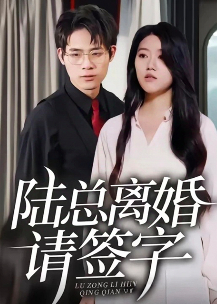 陆总离婚请签字封面图